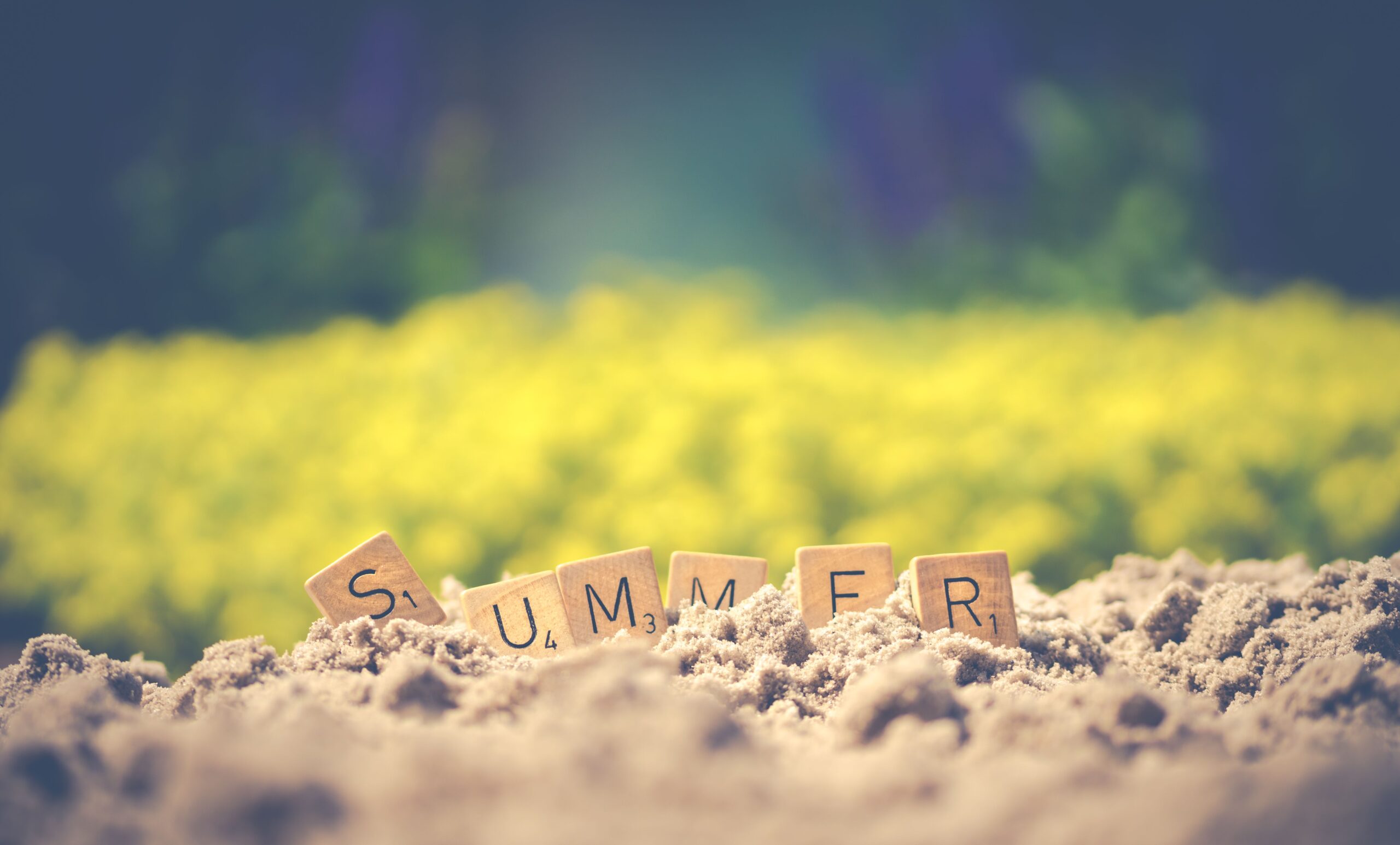 zomer-2026